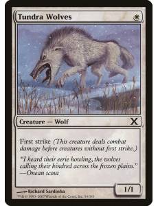 Lobos da Tundra / Tundra Wolves