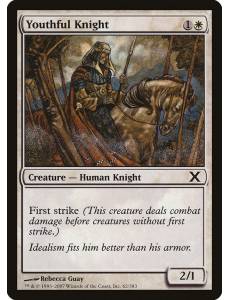 Jovem Cavaleiro / Youthful Knight