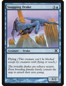 Dragonete Trinchador / Snapping Drake
