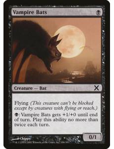 Morcegos Vampiros / Vampire Bats