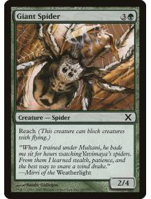 Aranha Gigante / Giant Spider