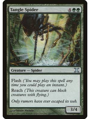 Aranha do Emaranhado / Tangle Spider