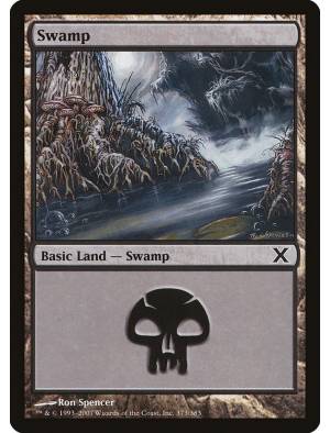 Pântano / Swamp