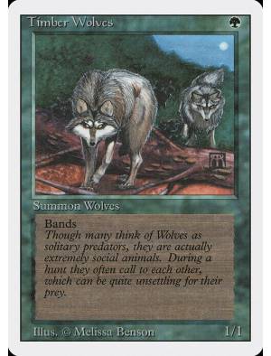 Timber Wolves