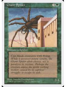 Aranha Gigante / Giant Spider / Ragno Gigante(it)