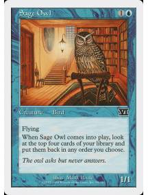 Coruja Sábia / Sage Owl