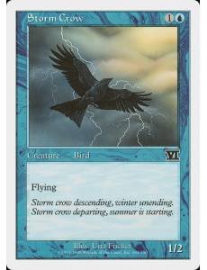 Corvo da Tempestade / Storm Crow