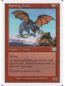 Dragonete Cospe-Fogo / Spitting Drake