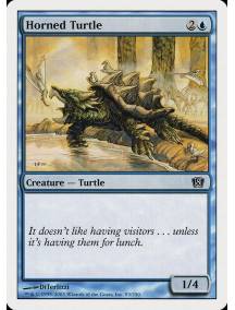 Tartaruga Marinha com Chifres / Horned Turtle