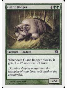 Texugo Gigante / Giant Badger