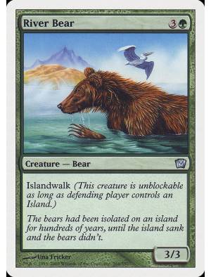 Urso do Rio / River Bear