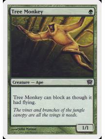Macaco Arbóreo / Tree Monkey