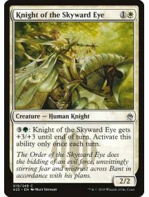 (Foil) Knight of the Skyward Eye
