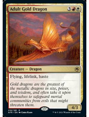 Dragão de Ouro Adulto / Adult Gold Dragon