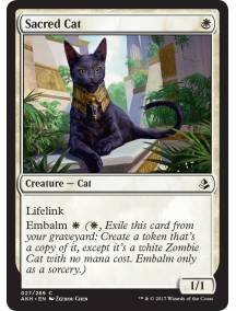 Gato Sagrado / Sacred Cat