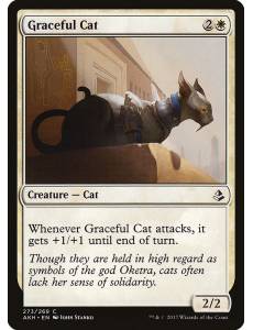 Gato Gracioso / Graceful Cat