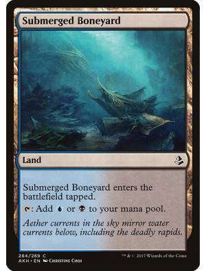 Ossário Submerso / Submerged Boneyard