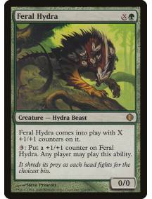 Hidra Selvagem / Feral Hydra