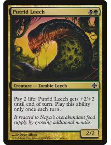 Sanguessuga Pútrida / Putrid Leech