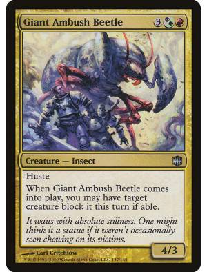 Besouro Gigante de Emboscada / Giant Ambush Beetle