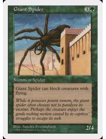 Aranha Gigante / Giant Spider