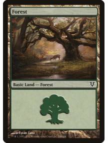 Floresta / Forest