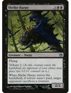 Harpia Picanço / Shrike Harpy