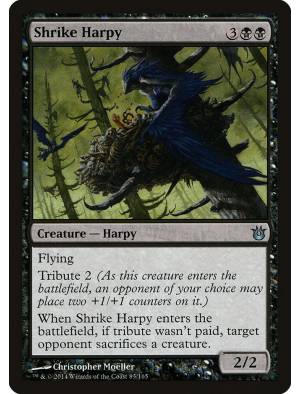 Harpia Picanço / Shrike Harpy