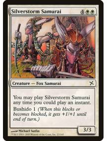 Samurai da Tempestade de Prata / Silverstorm Samurai