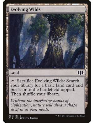 Terras em Desenvolvimento / Evolving Wilds