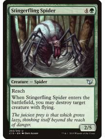 Aranha Lança-Ferrão / Stingerfling Spider