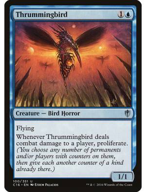 Colibri Tamborilante / Thrummingbird