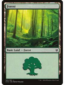 Floresta / Forest