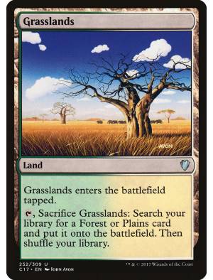 Pastagem / Grasslands