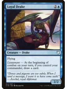 Dragonete Leal / Loyal Drake