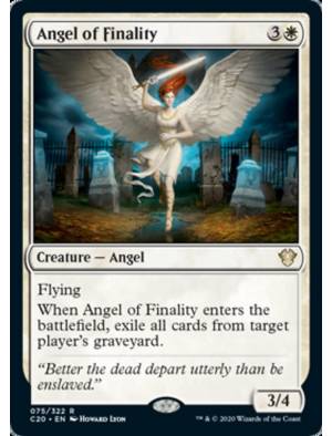 Anjo da Finalidade / Angel of Finality