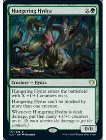Hidra Faminta / Hungering Hydra