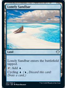 Banco de Areia Isolado / Lonely Sandbar