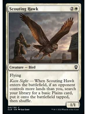 Falcão Batedor / Scouting Hawk