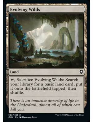 Terras em Desenvolvimento / Evolving Wilds