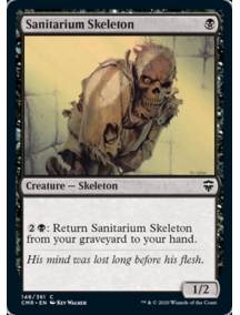Esqueleto do Sanatório / Sanitarium Skeleton