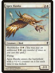 Falcões do Ápice / Apex Hawks
