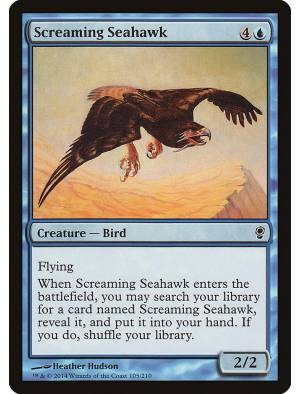 Falcão do Mar Gritador / Screaming Seahawk