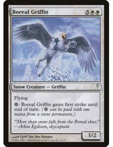 Grifo Boreal / Boreal Griffin