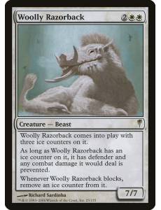 Porco-Selvagem Lanoso / Woolly Razorback