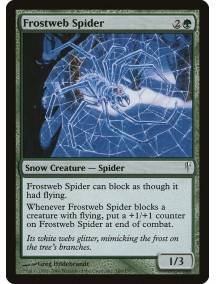 Aranha Teia de Gelo / Frostweb Spider