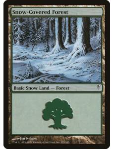 (Foil) Floresta da Neve / Snow-Covered Forest