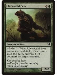 Urso de Ulvenwald / Ulvenwald Bear