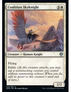 Cavaleiro Celeste da Coalizão / Coalition Skyknight