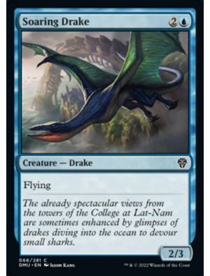 Dragonete Planador / Soaring Drake